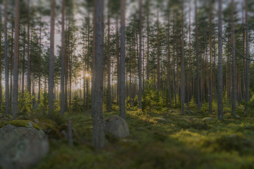 1193494 (a): :2048x1365
